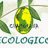 Negocio Guarderia Picapiedra